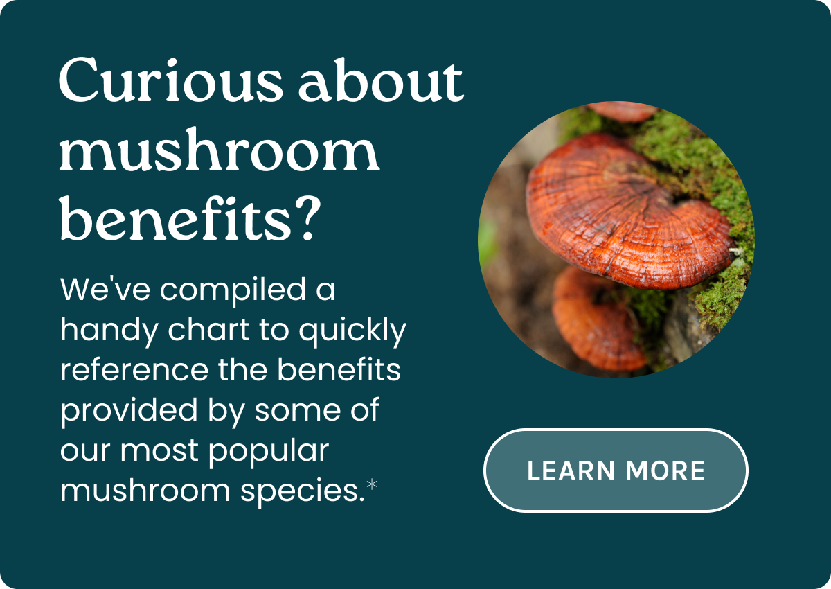 Curious about mushroom benefits? We've compiled a handy chart to quickly reference the benefits provided by some of our most popular mushroom species.*